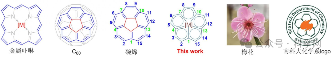 夏海平团队做出的分子结构类似梅花