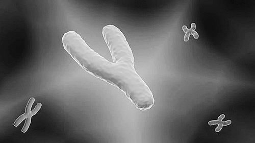 图片来源:Artur Plawgo/Science Photo Library