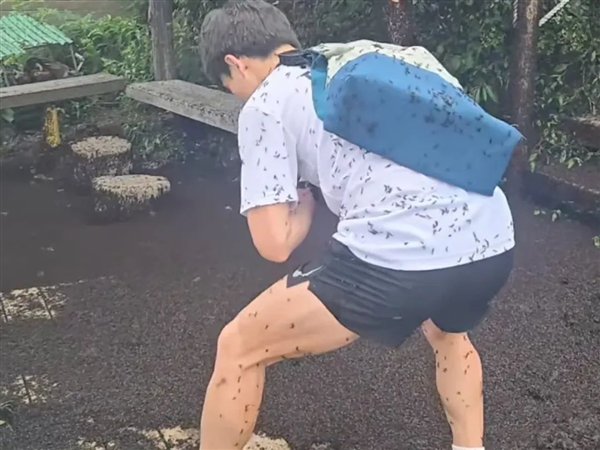 △ 这个人身上的,还有地上黑压压一片的,都是“爱情虫”