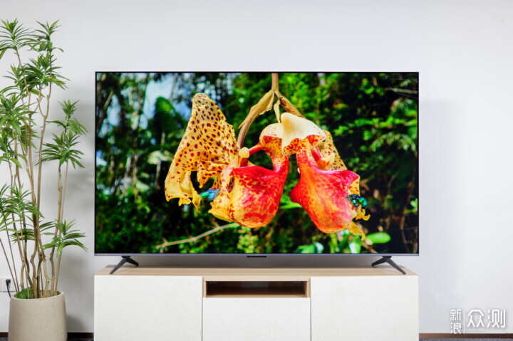 TCL T7L Pro Mini LED电视:万象分区大有不同_新浪众测