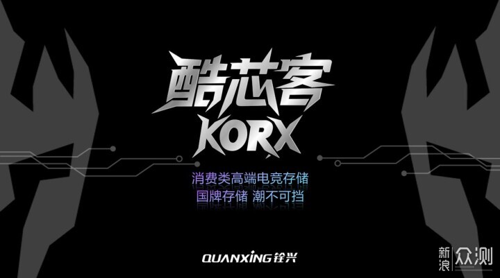 内存全面涨价!国产品牌内存成为最佳选择_新浪众测