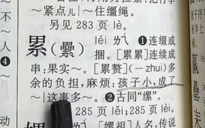 ▲《新华字典》关于累(第二声)截图。图/社交平台