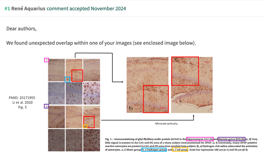 图b与图c中标红的部分相同 图源:PubPeer(下同)